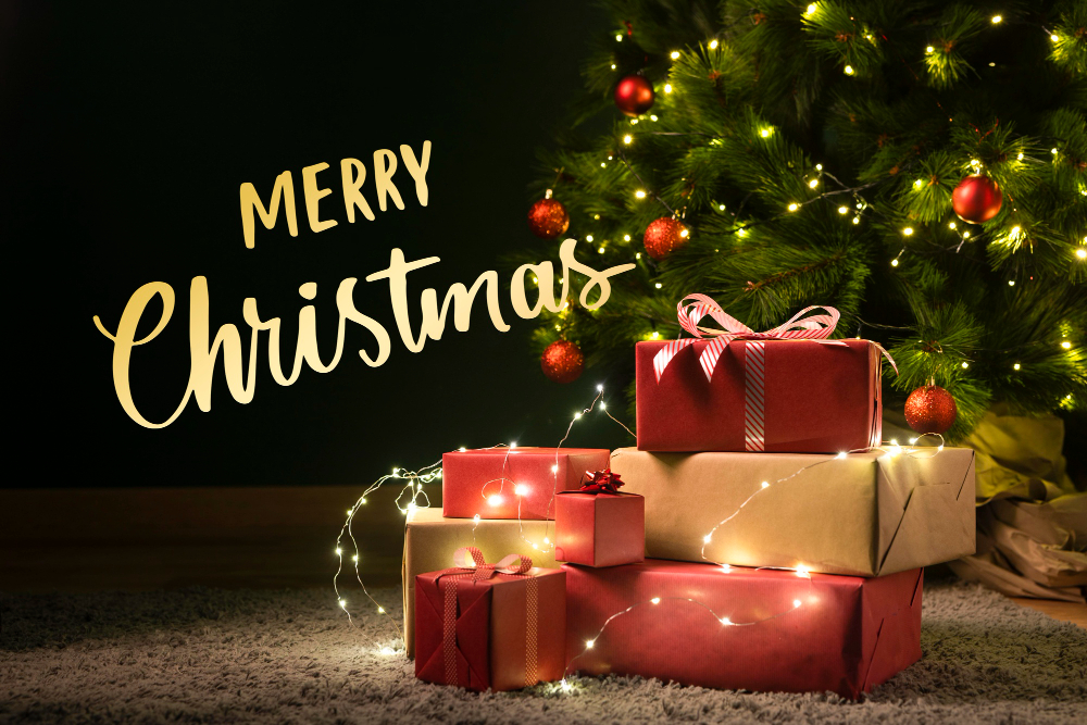 Christmas Wish, 2024