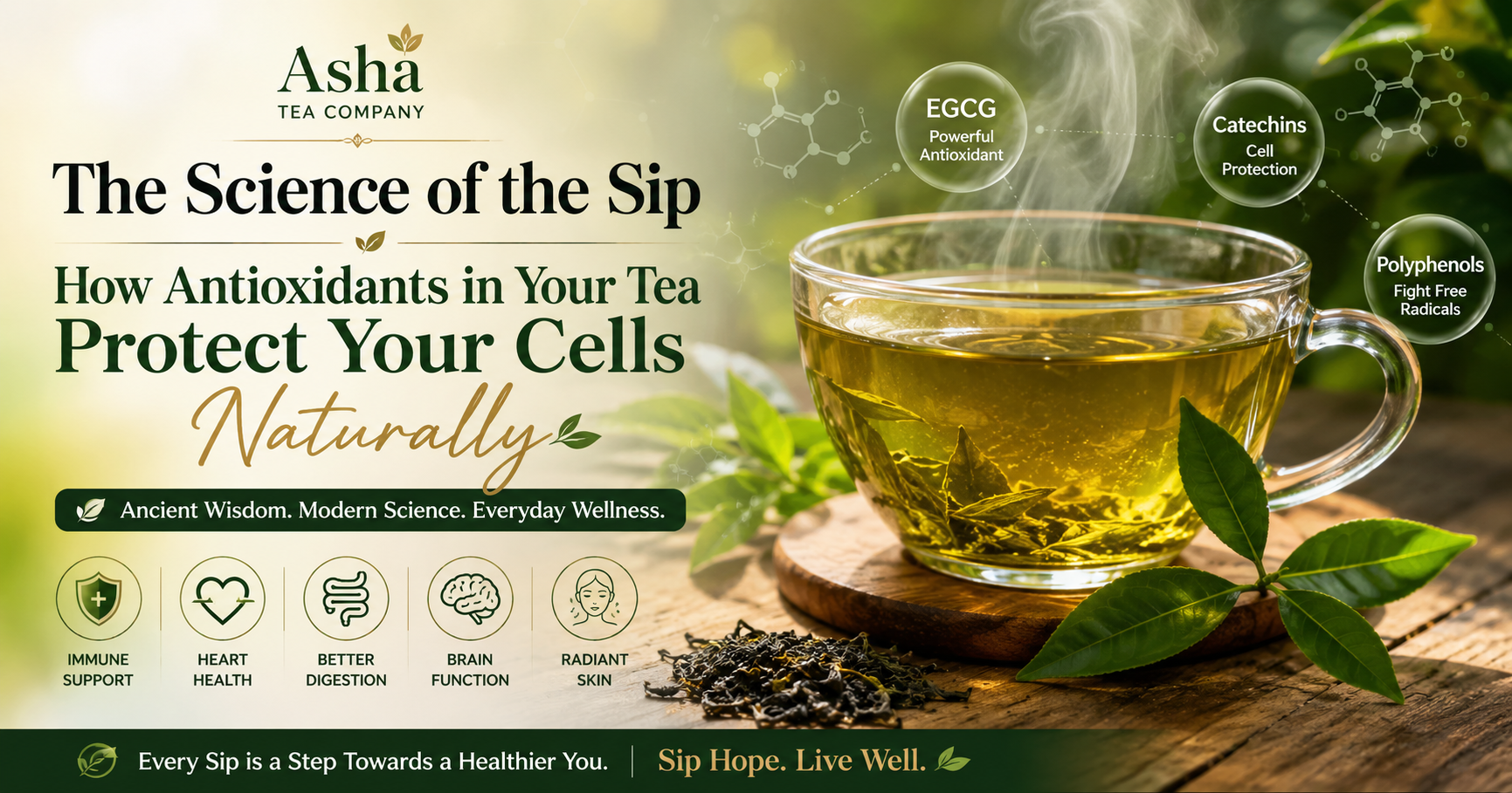 A steaming cup of green tea with fresh tea leaves, highlighting antioxidants like EGCG and catechins that support cellular health, immunity, heart health, and overall wellness by Asha Tea Company.