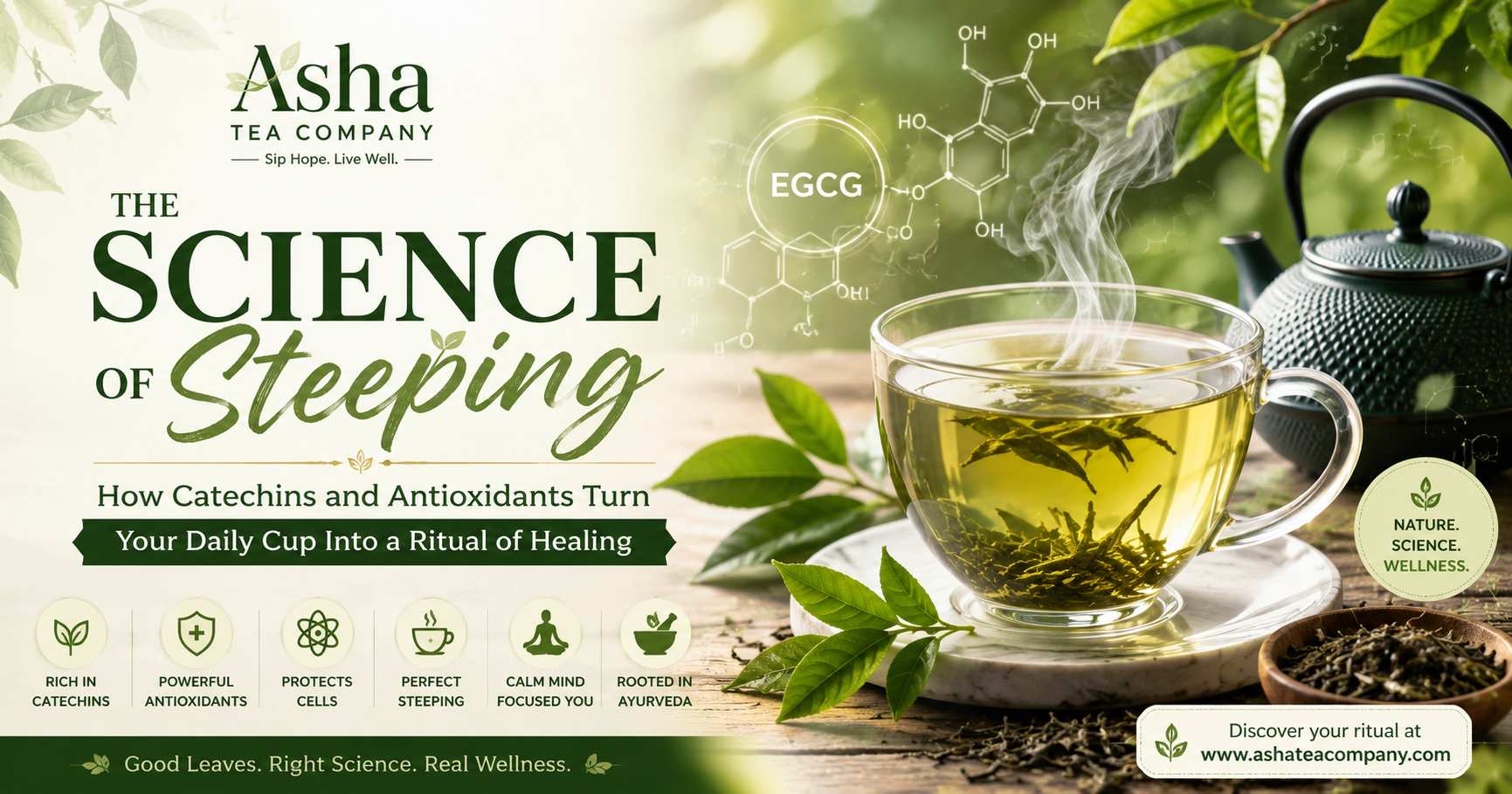 Steaming cup of green tea with fresh tea leaves illustrating catechins, antioxidants, and the science of proper tea steeping.