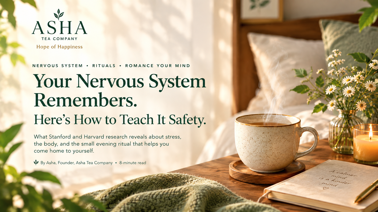 Asha Tea evening tea ritual for nervous system and stress